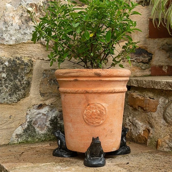 Jardinopia Plant Pot Feet Bronze Frog - Set Of 3 - Image 2