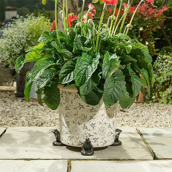 Jardinopia Plant Pot Feet Bronze Frog - Set Of 3 - Image 4