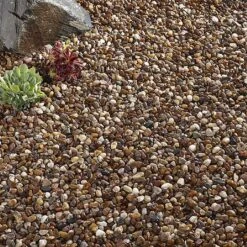 Quartzite Pea (10mm) Bulk Bag